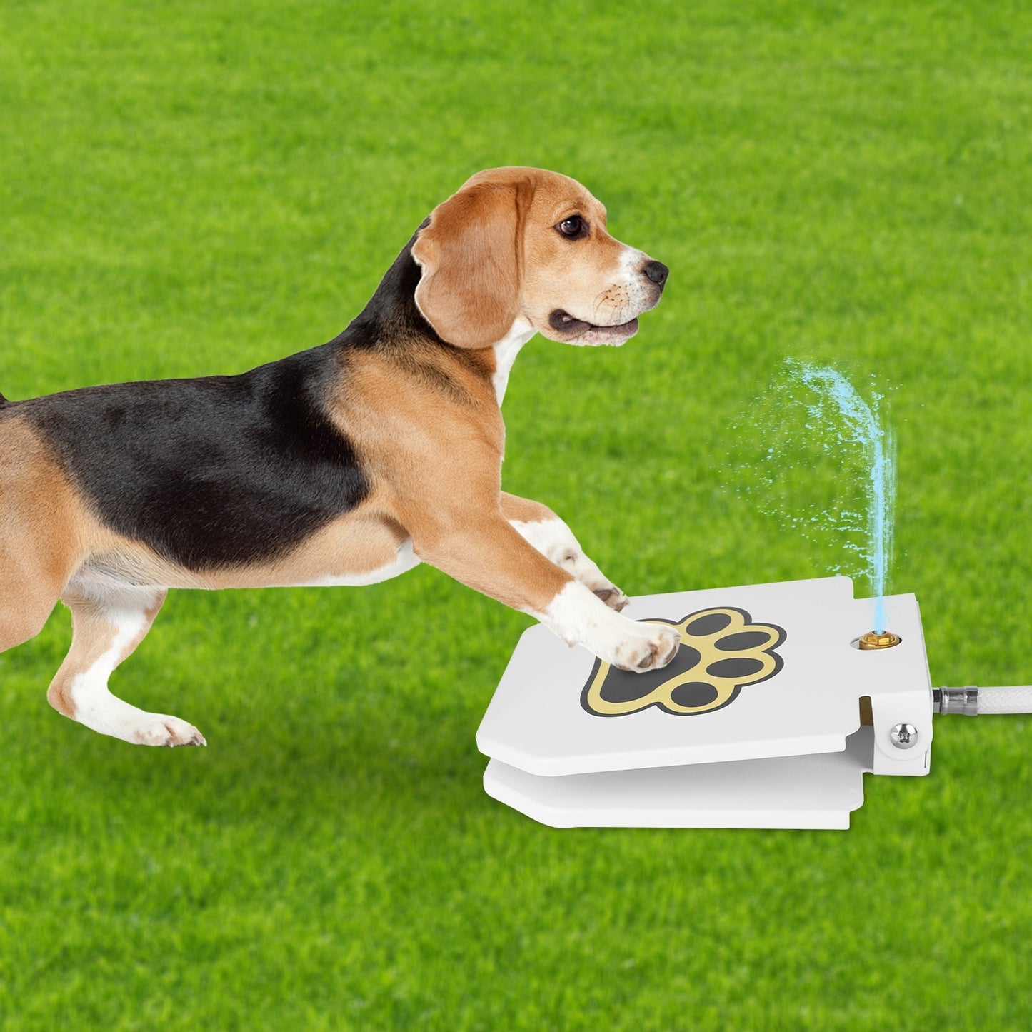Outdoor Dog Pet Water Dispenser