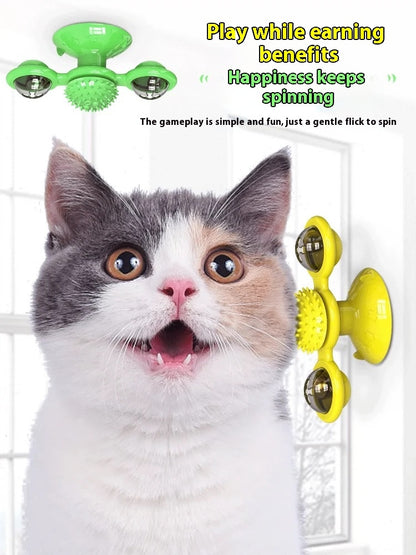 Cat Entertainment Set