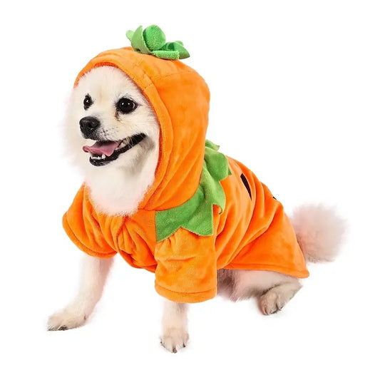 Funny Halloween Style Pumpkin Cosplay for your dog