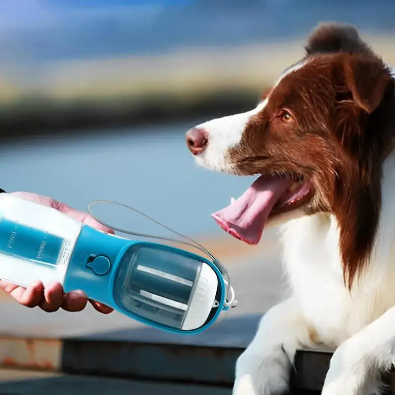Three-in-one Portable Small Multi-functional Pet Cups Pets Supplies
