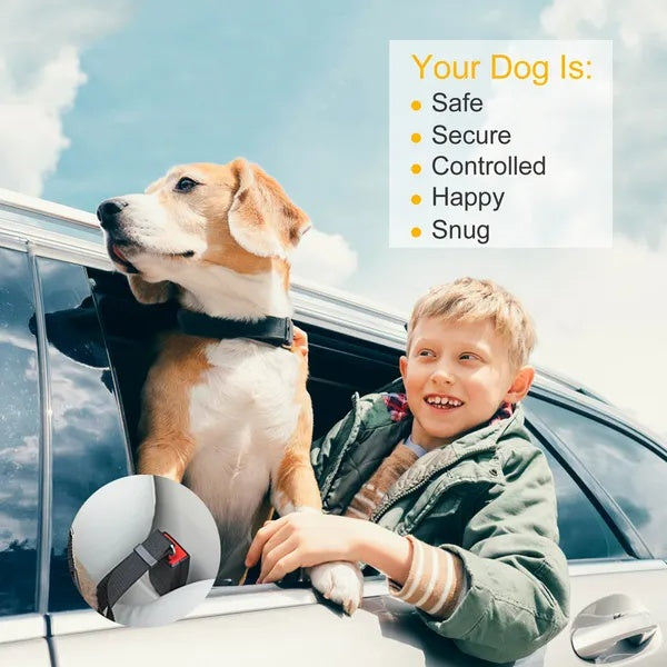 2Pcs Pets Seat Belt Leash for Dogs and Cats