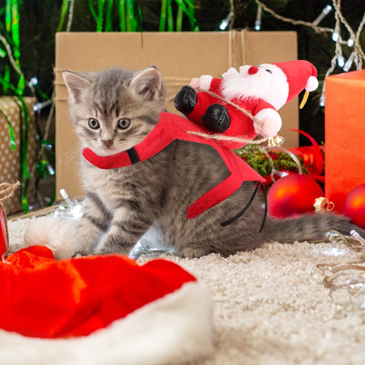 Red Winter Coat For cats and dogs Riding Santa Claus
