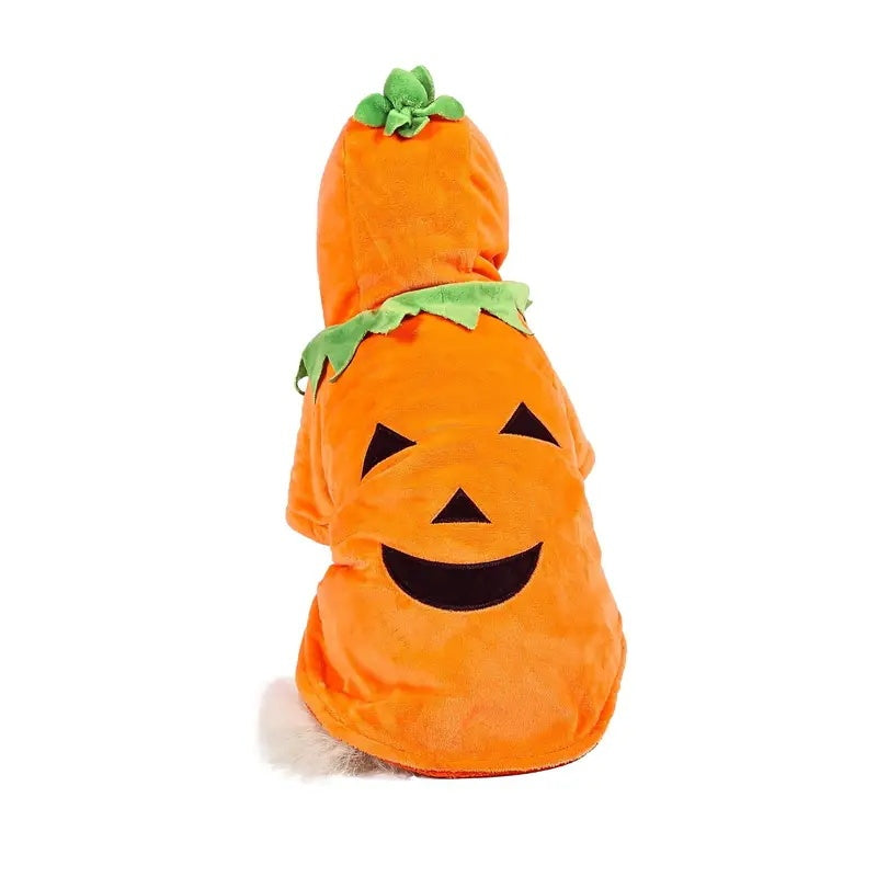 Funny Halloween Style Pumpkin Cosplay for your dog