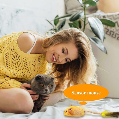 Interactive Cat Toys Mouse With LED Lights