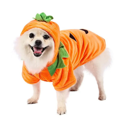 Funny Halloween Style Pumpkin Cosplay for your dog