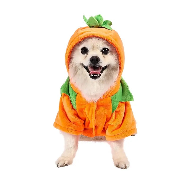 Funny Halloween Style Pumpkin Cosplay for your dog