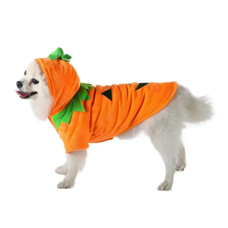 Funny Halloween Style Pumpkin Cosplay for your dog