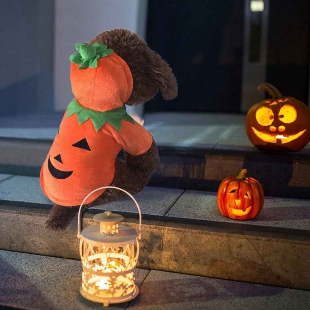 Funny Halloween Style Pumpkin Cosplay for your dog